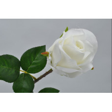 Ruža biela, 48cm